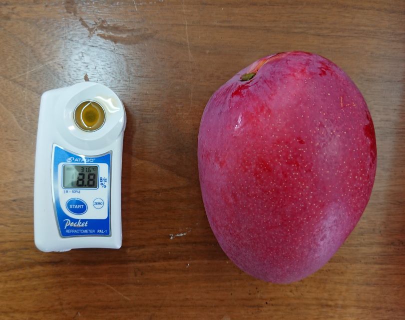 Irwin Mango | ひろ農園